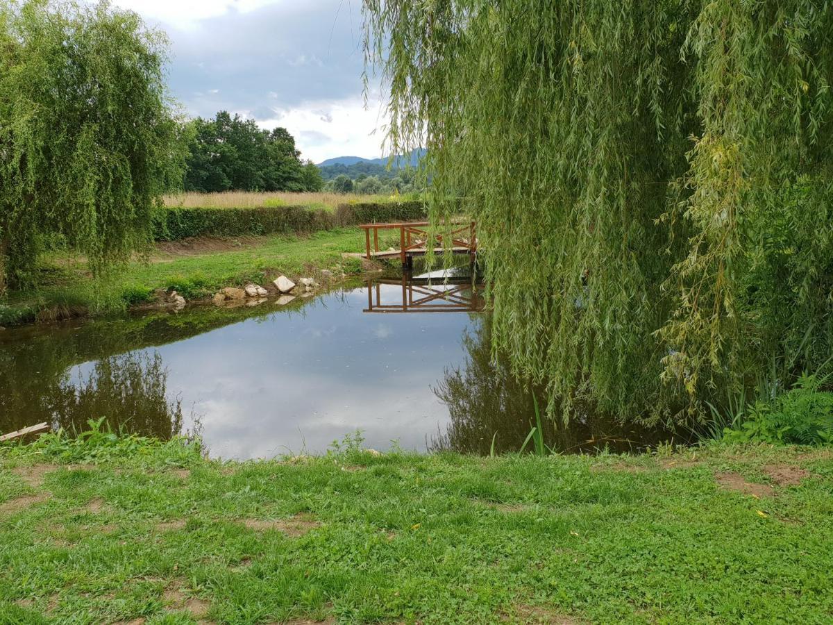 Seoski turizam Sumak Miljana Bagian luar foto