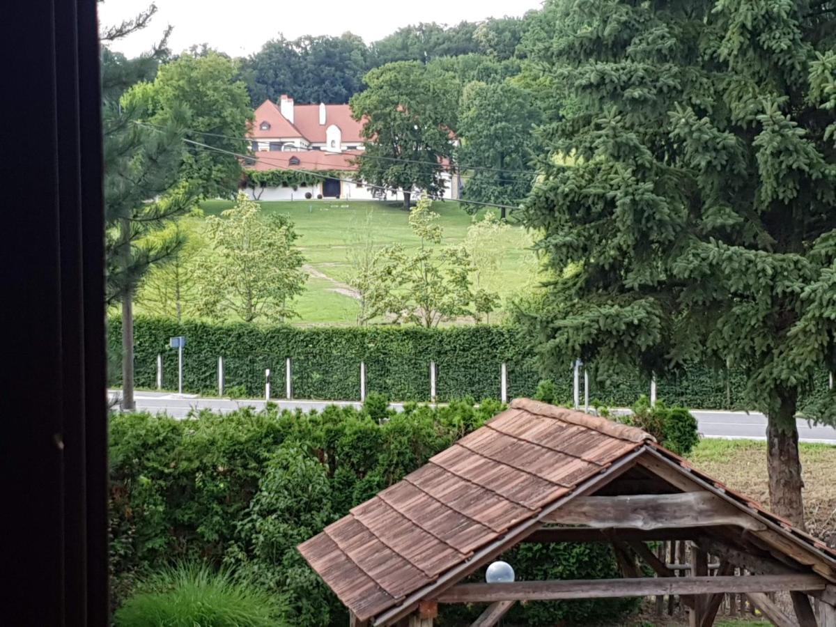 Seoski turizam Sumak Miljana Bagian luar foto